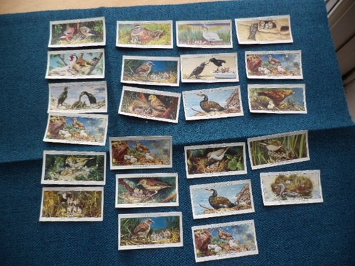 Players cigarette cards birds - cards,