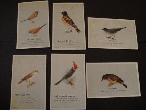 Caperns birdfood aviary - caperns, &