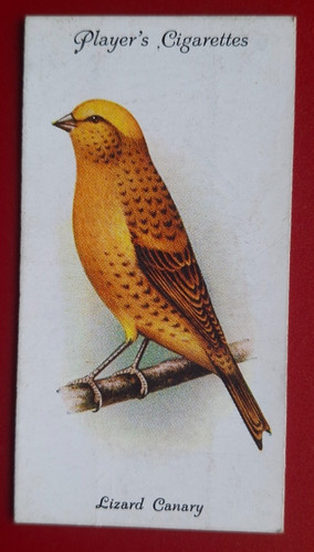 Players cigarette card - cigarette,