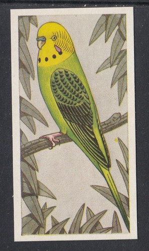 1960 barratt cage - barratt, &