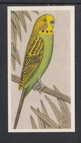 1960 barratt cage - barratt, &