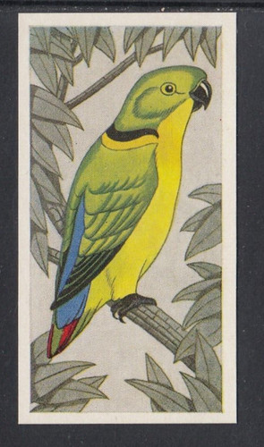 1960 barratt cage - co.,