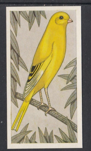 1960 barratt cage - barratt,