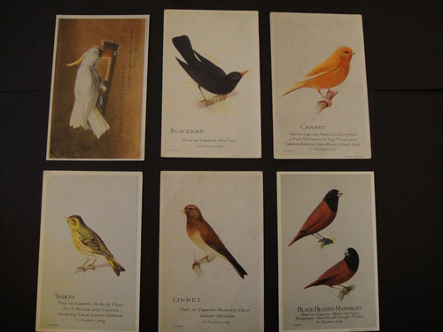 Caperns birdfood aviary - 6,