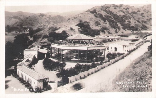 Avalon california bird farm - avalon,