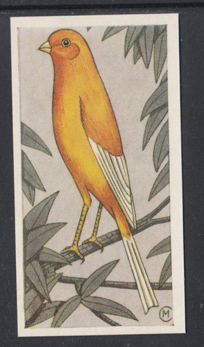 1960 barratt cage - barratt, co.