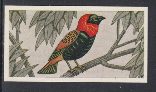 1960 barratt cage - barratt, &