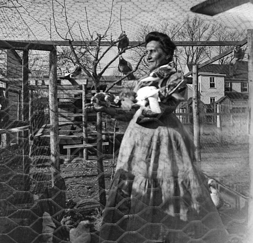 Antique glass photo negative - glass,
