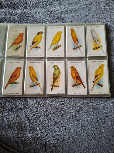 Player aviary cage - "aviary, &