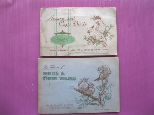 Player cigarette cards - player's,