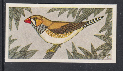 1960 barratt cage - &, co.