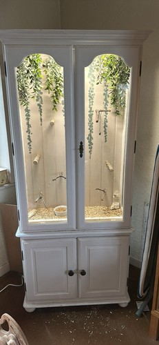 Large indoor aviary - indoor,