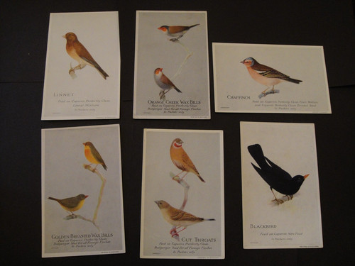 Caperns birdfood aviary - aviary, &