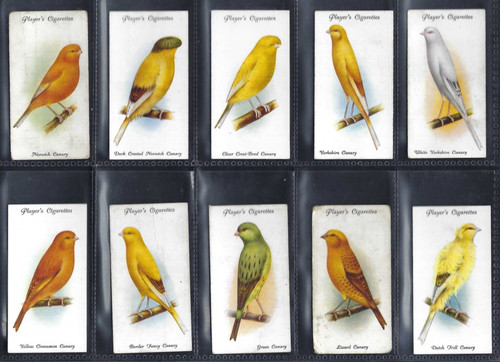 Player aviary and cage - aviary,