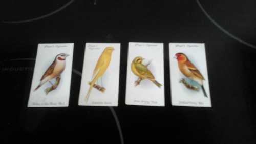 Player aviary cage - , &