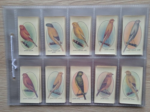 Full set aviary and cage - of,