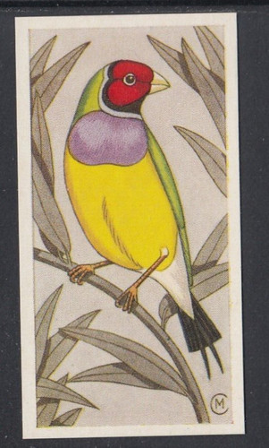 1960 barratt cage - barratt, &