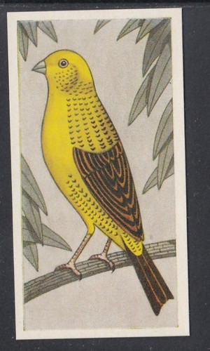 1960 barratt cage - barratt, &