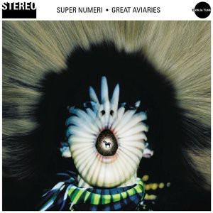 Super numeri great - numeri, aviaries
