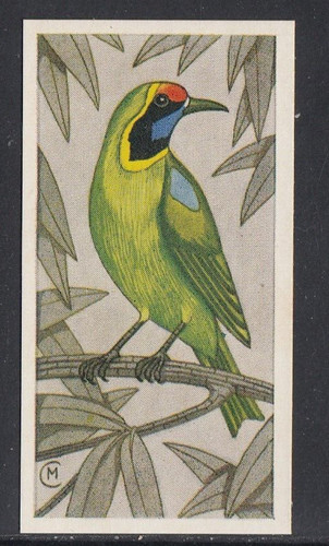 1960 barratt cage - barratt,