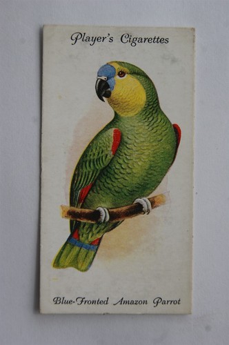 1933 john player sons aviary - 1933,