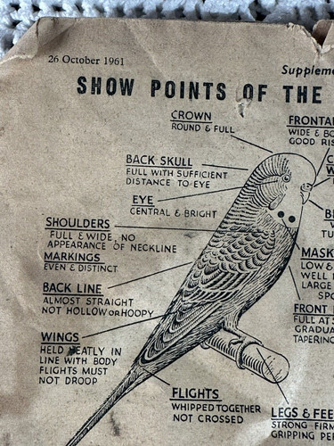 Cage aviary birds supplement - aviary,