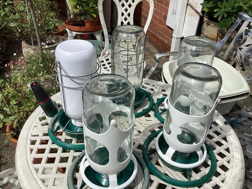 Aviary drinkers - aviary,