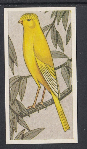 1960 barratt cage - barratt, &