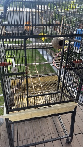 Rolling large bird cage metal - rolling,