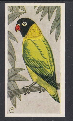 1960 barratt cage - 1960, &