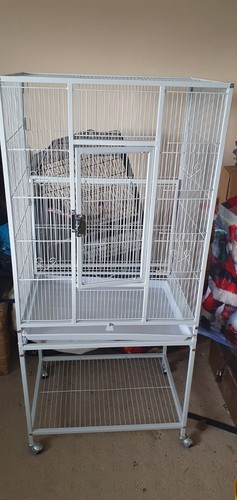 Milo misty tier large - milo,
