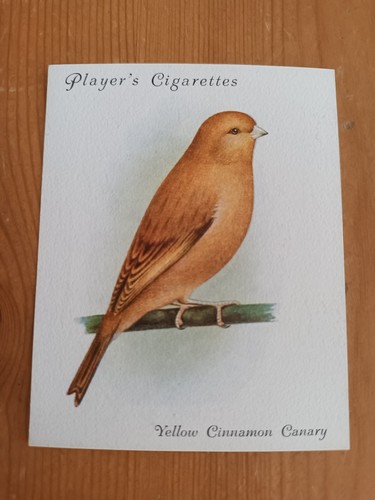 Cigarette card players - cigarette,