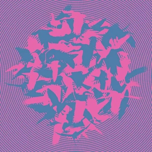 The momentary aviary - the,