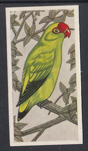 1960 barratt cage - &,