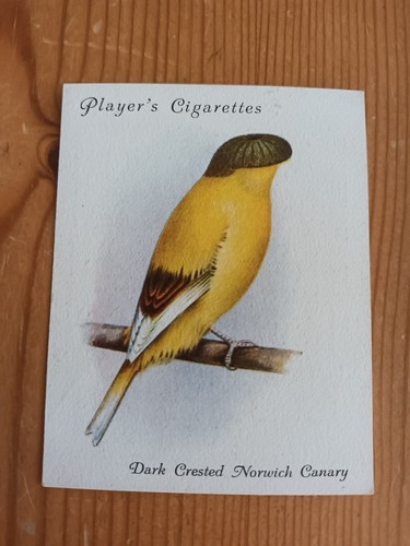 Cigarette card players - card,