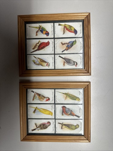 Framed players cigarette cards - framed,