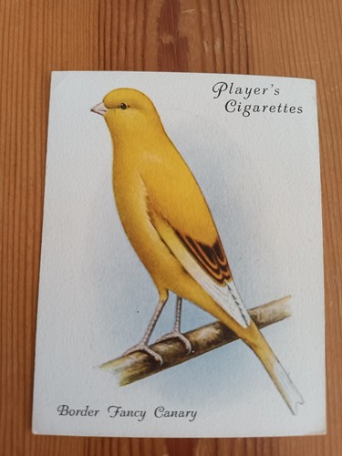 Cigarette card players - card,