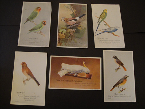 Caperns birdfood aviary - 6,