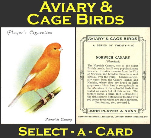 Player aviary cage - player's,
